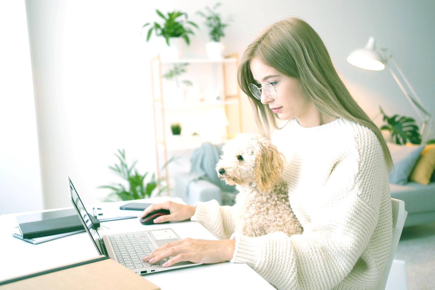 Herramientas profesionales de análisis cuantitativo